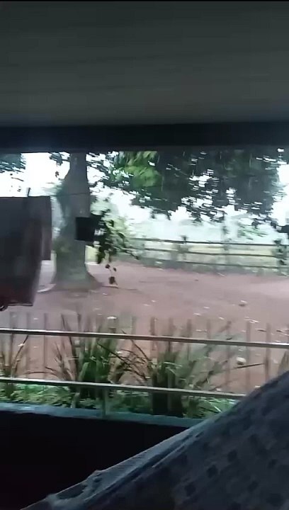 Temporal atinge a região, derruba árvores e causa pontos de alagamento em Umuarama 1