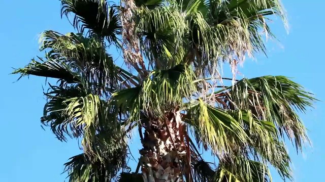 Top 18 Most Isolated Cities in the World PEOPLE CALL HOME- The World's Most Isolated Communities