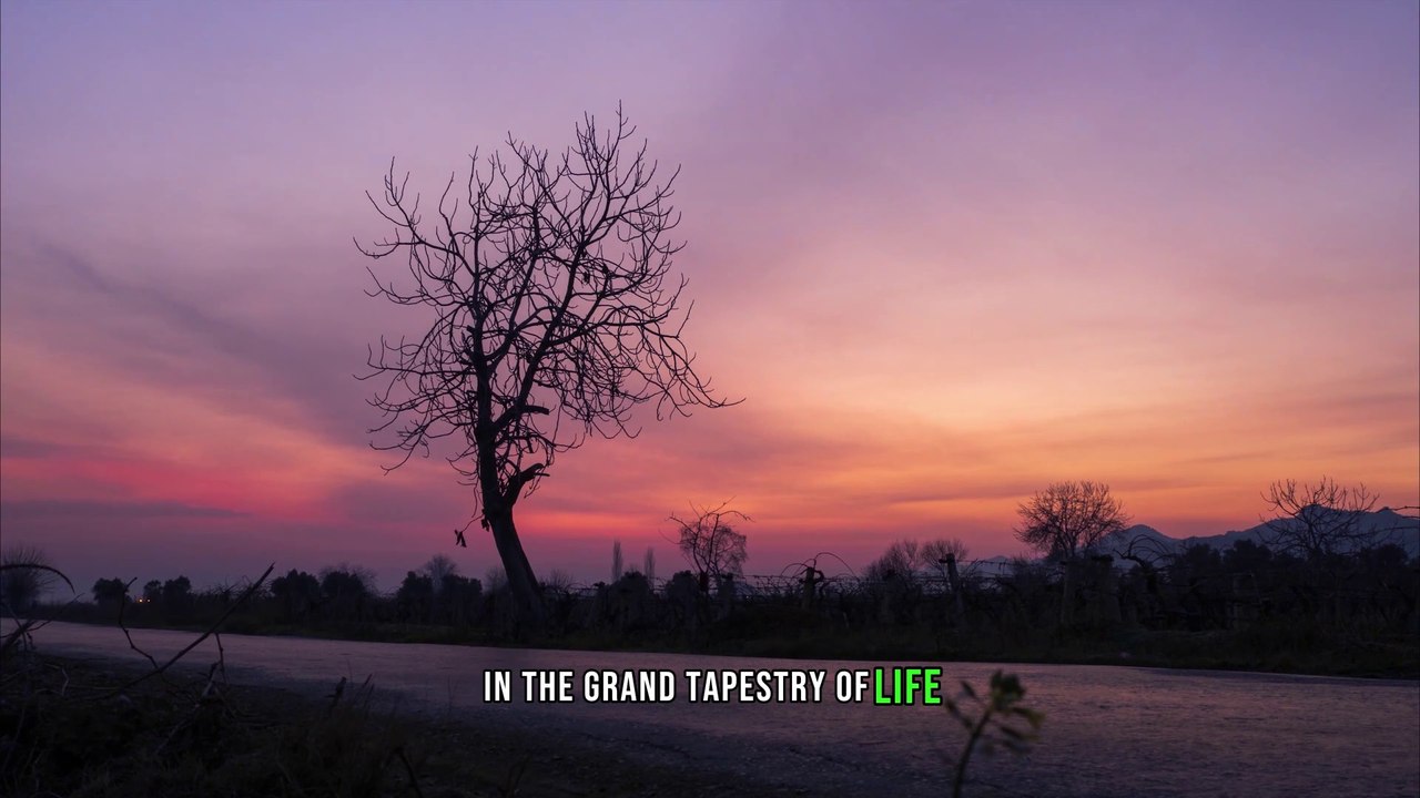 Elevate Your Journey: A Cinematic Exploration of Life, Motivation, and Emotion