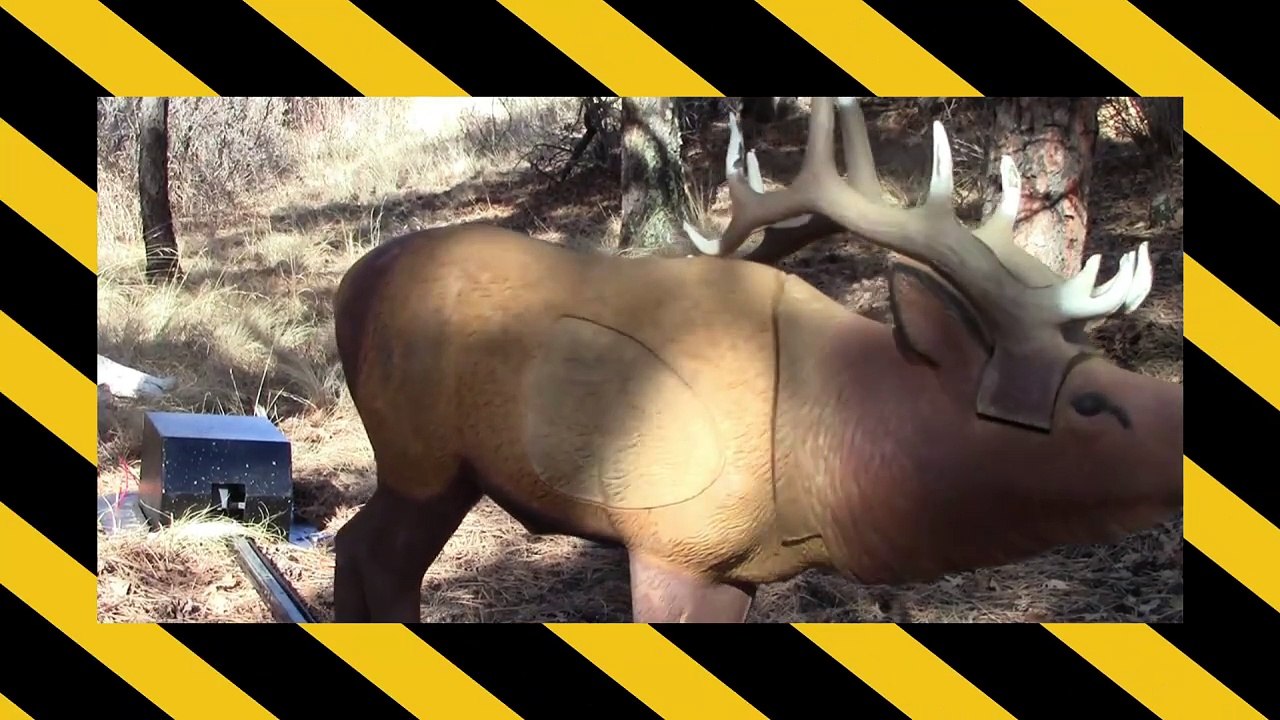 The magic of moving 3D archery targets! 
