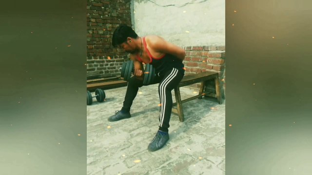 ❌ SEATED CONCENTRATION CURLS ✔️ | Best BICEPS Exercise | Info by Heer ML Gangaputra