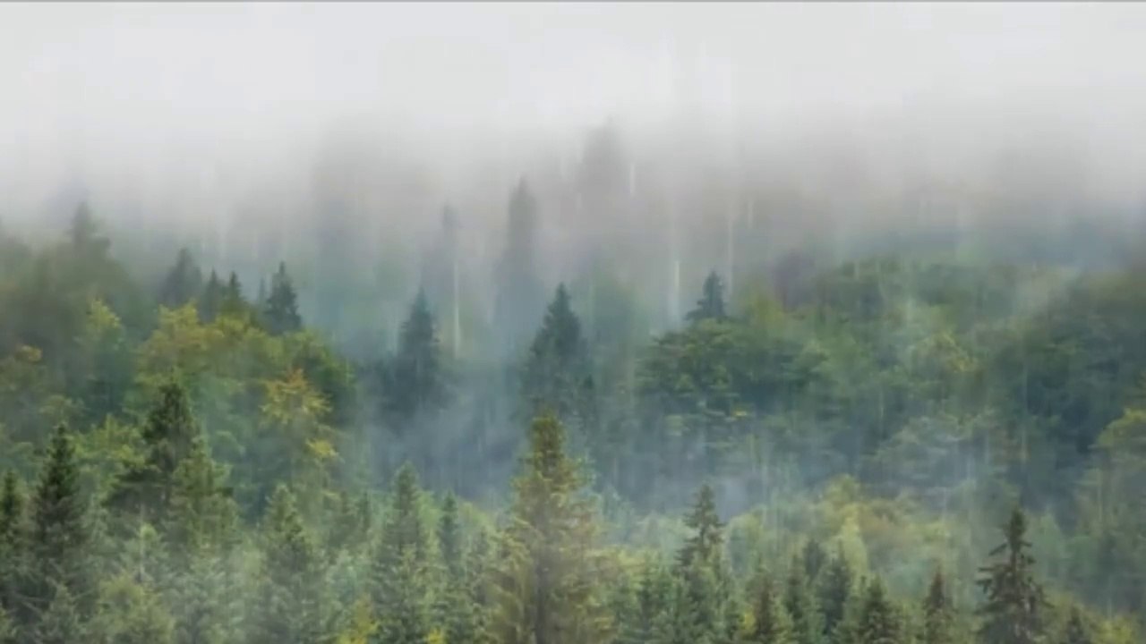 Rain Sounds for Easy sleep - Relaxing Music, Meditation Music, Fall asleep fast, Deep Sleep Music