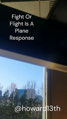 "Fight Or Flight Is A Plane Response" 12/19/2023