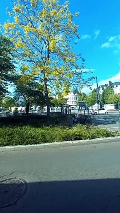 Chartes Bus 1 Direction Barjouville - Pluviers  #france #bustour #bus #frenchcity #francetour  (33)