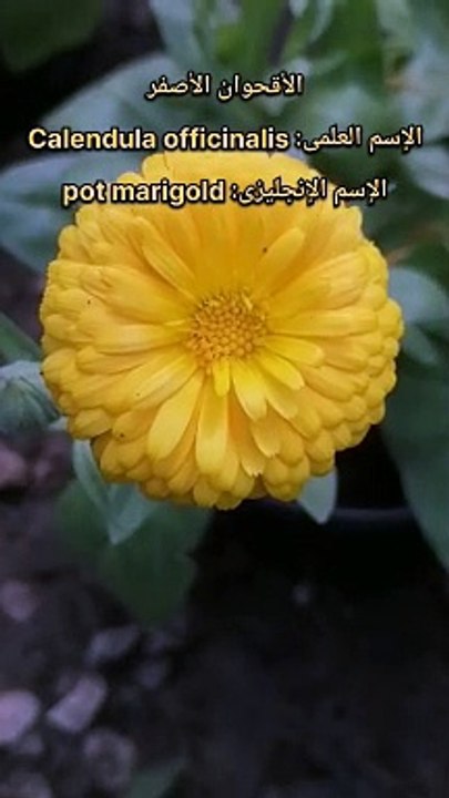 VN20230601_224256
