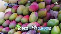 한국의 오일장과 비슷한 브라질의 시장?! 열대 과일의 천국★