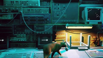 Stray Meet Robot Sidekick