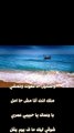 #shorts   شيرين-انا كلي ملكك 7- فيديو كليب #love