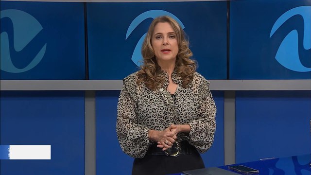 Resumen de investigaciones sobre Santana Barbershop | Nuria Piera