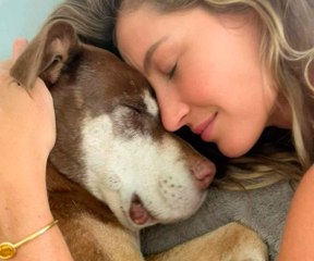 Tom Brady ja Gisele Bündchen Suruissaan Menetettyään Rakkaan Koira Luan 🐾