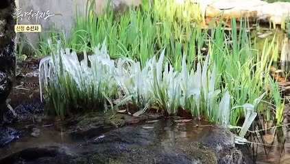 [풍경여지도] 건강하게 한 방! 후끈하게 한 가마! - 경남 산청 2부