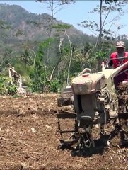 Bridging Generations Traditional Farming Meets Modern Tractor Tech in Indonesia