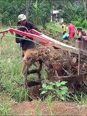 Driving Progress Indonesian Tractors and the Future of Farming