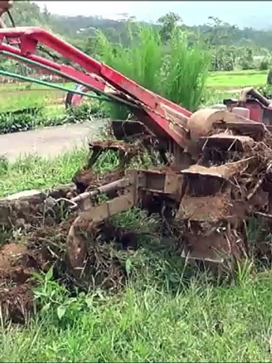 From Sowing to Harvest A Day in the Life of an Indonesian Rice Field Tractor