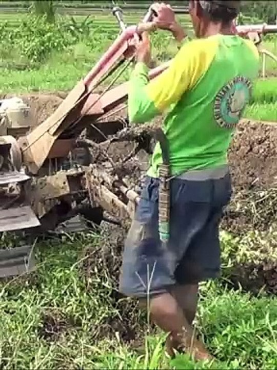 Driving Through the Green Exploring Rice Fields with Indonesian Tractors