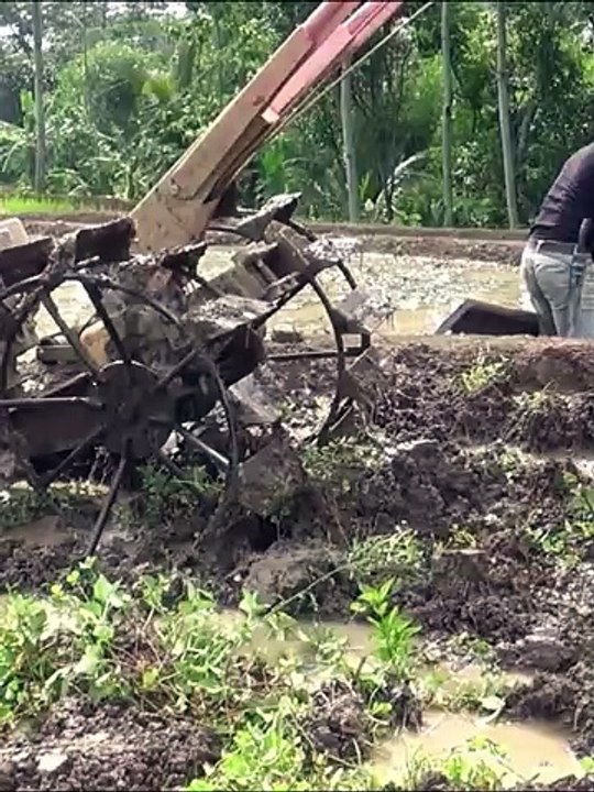 Green Giants of the Paddy Tractors Transforming Indonesia's Agriculture