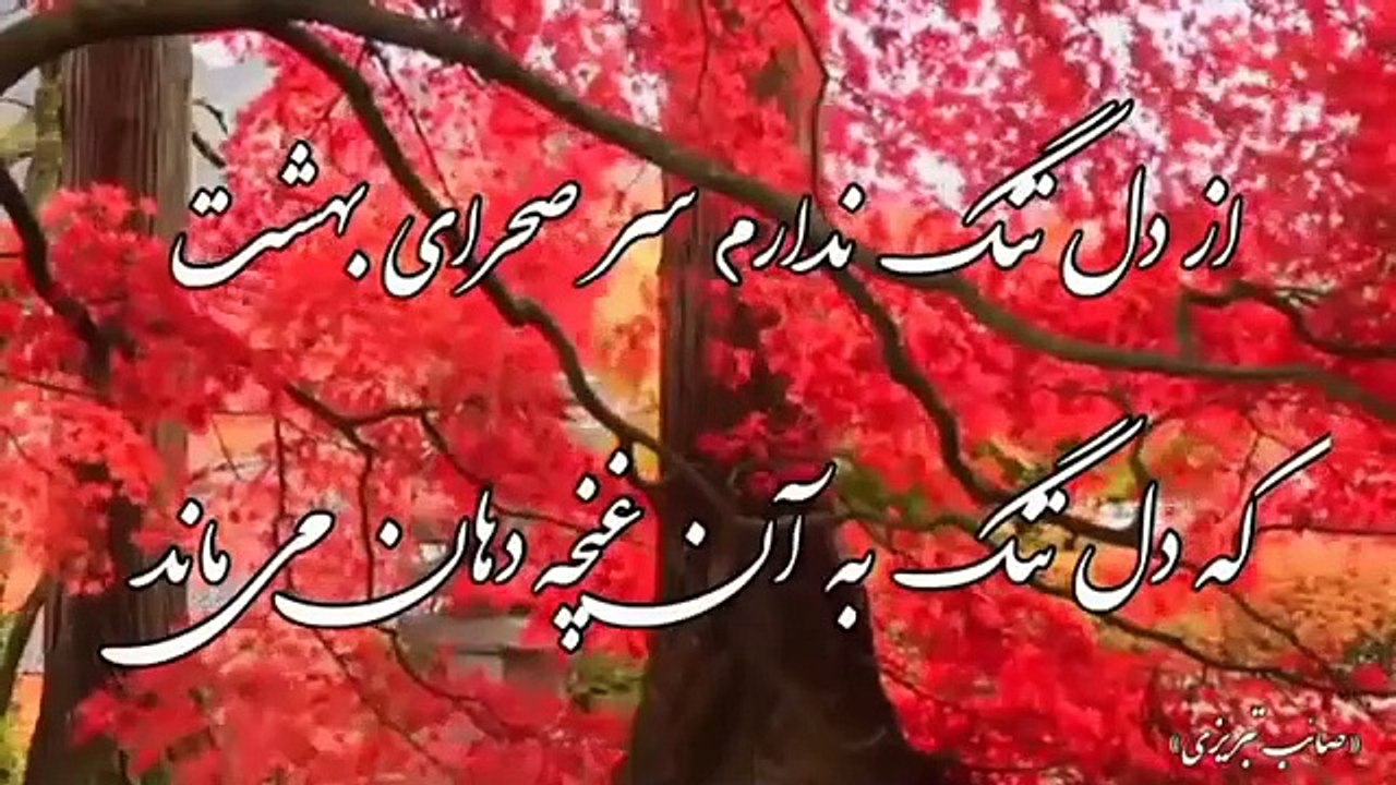 غزل شماره «۳۴۸۳»صائب تبریزی-