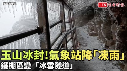 玉山高山突降凍雨，步道變冰雪隧道❄️