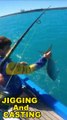 JIGGING And CASTING Tropical Island Waters With BIG FISH #fishing