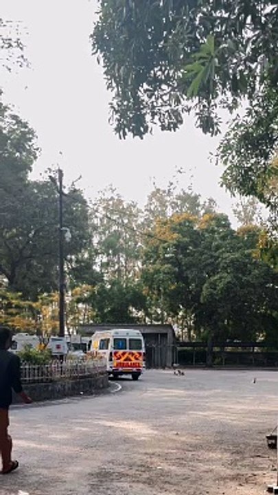 Pets are the part of our family and childrens best friend