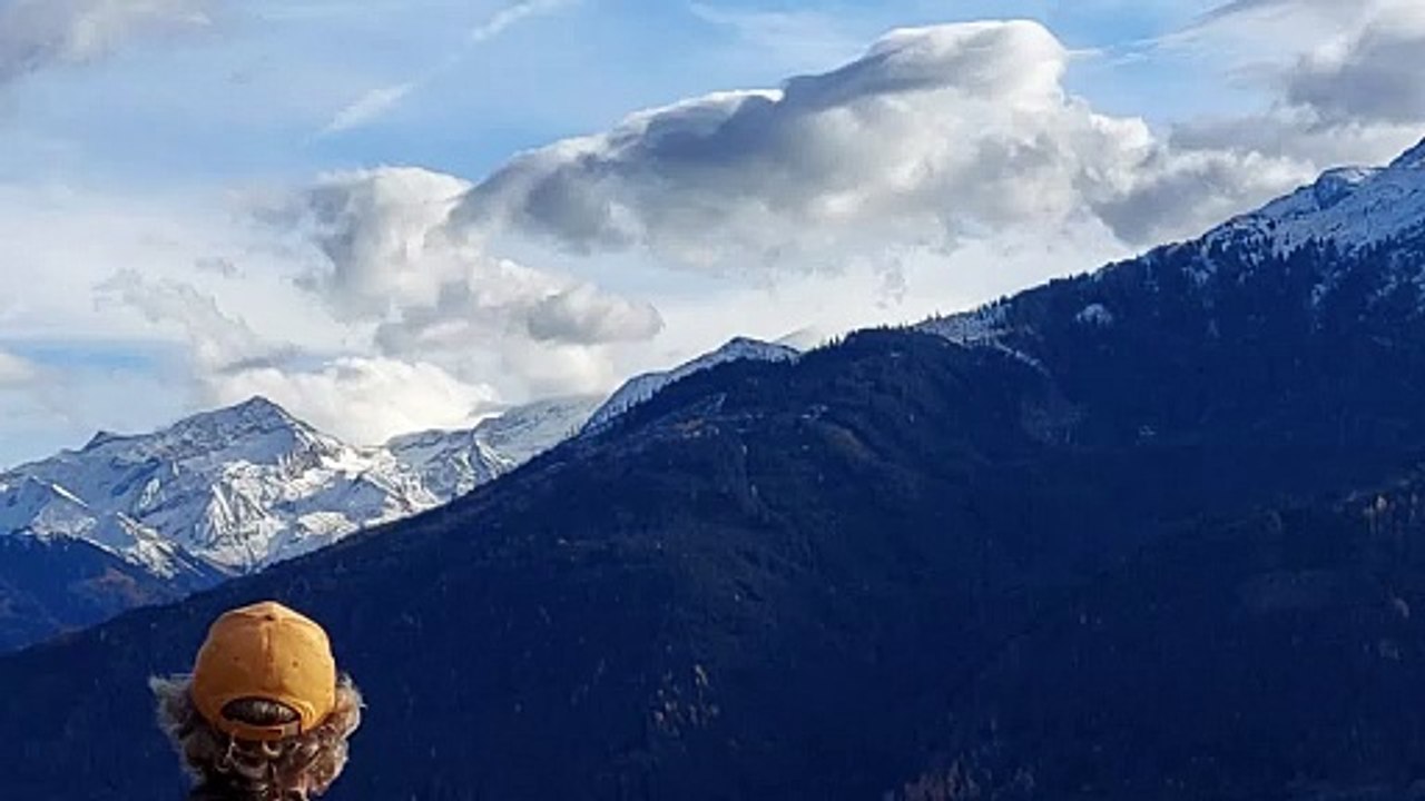 Wood wipe am Südhang