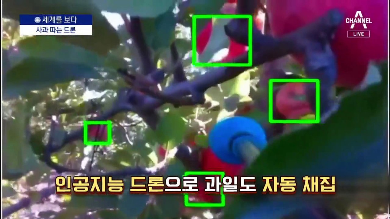 [세계를 보다]잡초 태우고 사과 따는 AI ‘농업 로봇’