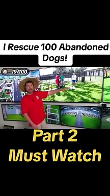 ⁣I Rescue 100 Abandoned Dogs (2)