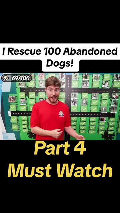 I Rescue 100 Abandoned Dogs (4)