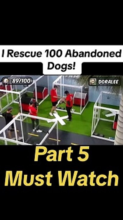 I Rescue 100 Abandoned Dogs (5)