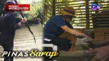 River clams na matatagpuan sa ilog sa Barbaza, susubukang hulihin ni Kara David! | Pinas Sarap