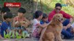Get to know the viral dog “Trexy” and his playmates | Born to be Wild