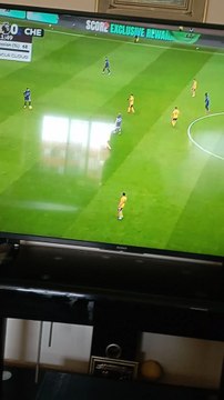chelsea vs wolves beuatiful match
