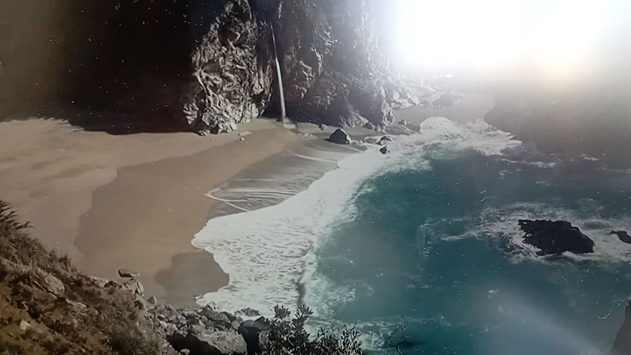 beautiful summer ️
