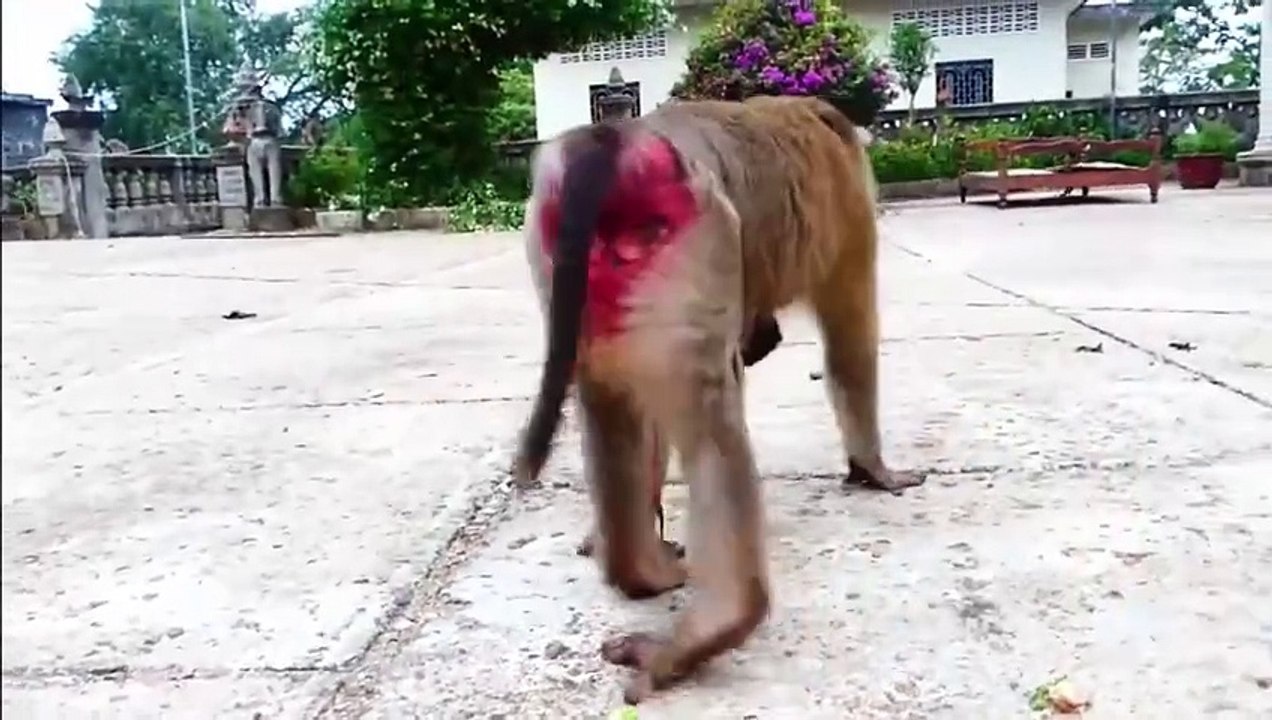 Mother just give her new birth of baby, lost huge of energy, tired mother try to eat foods (720p_25fps_H264-192kbit_AAC)