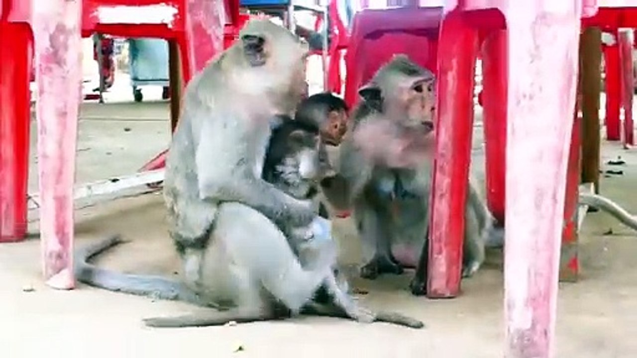Mother Malika Warms Baby Of Mother Maya By Embracing (720p_25fps_H264-192kbit_AAC)