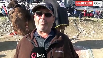 Panayır havasında geçen deve güreşlerine yoğun katılım