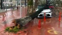 Bartın'da çok sayıda evin çatısı uçtu, çay bahçesi zarar gördü