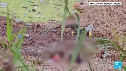 México implementa devoluciones de migrantes a sus países de origen