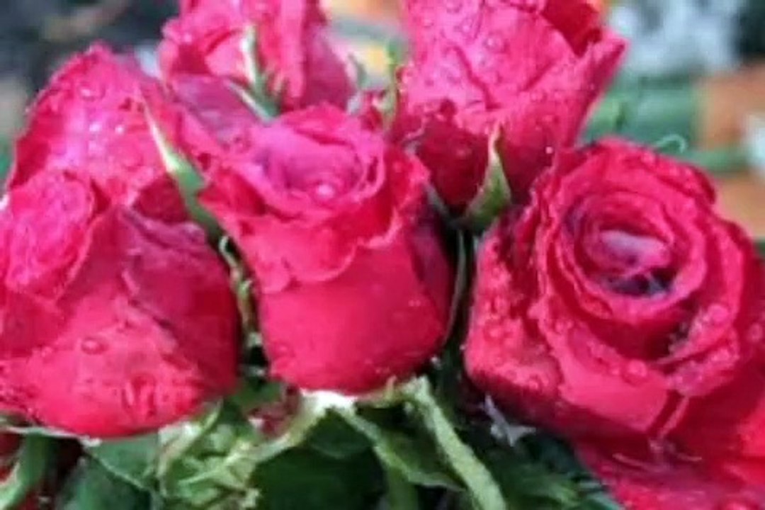 Fleurs 3