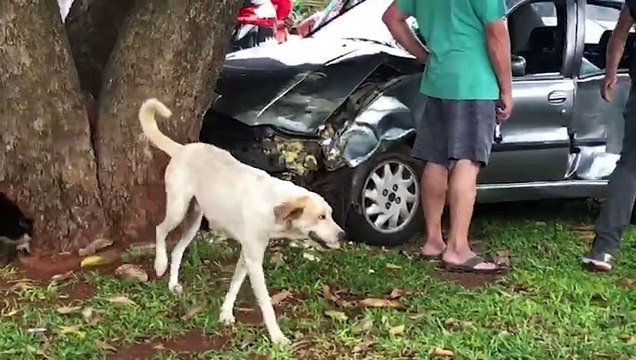 Colisão entre carros no Interlagos deixa adolescentes feridas