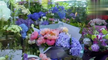 মন জুড়ানো  কণ্ঠে ৩ কুল _ সূরা ইখলাস, সূরা ফালাক, সূরা নাস  3 Qul (Al Ikhlas, Al Falaq, An Nas)