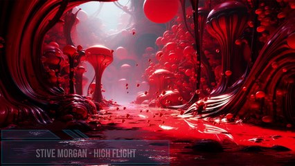 Stive Morgan - High Flight. Relaxing music