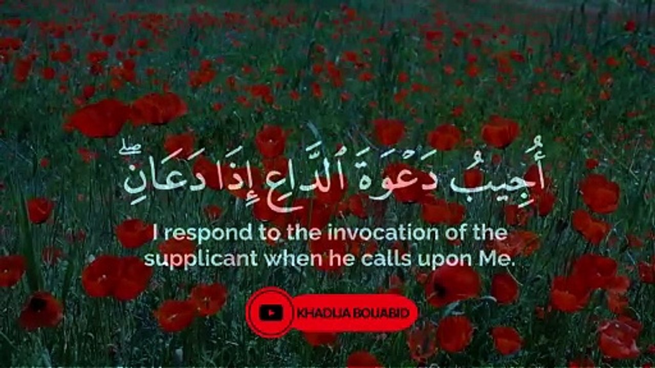 القران الكريم