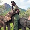 Magnifique moment de complicité entre cette soigneuse et ces bébés éléphants dans le sanctuaire pour éléphants 