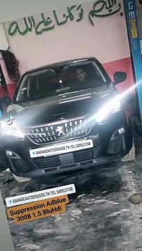 suppressionadbluefapegrstage1.com/