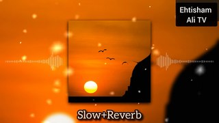 Slow and Reverb || Sukoon Paya Hai Bekasi Ne