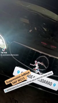 suppressionadbluefapegrstage1.com/