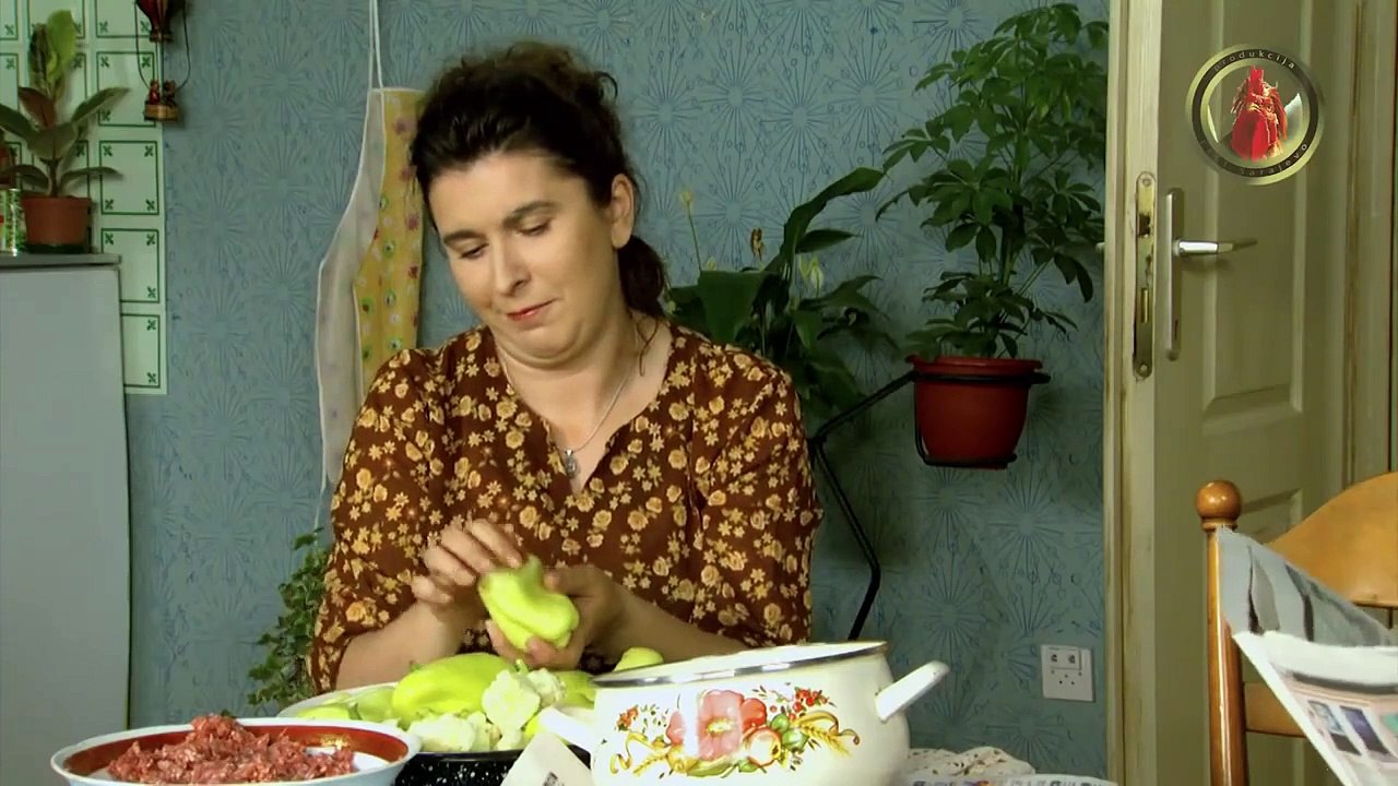 Lud Zbunjen Normalan (19 Epizoda) S1.E19 ∙ Kucna - video Dailymotion