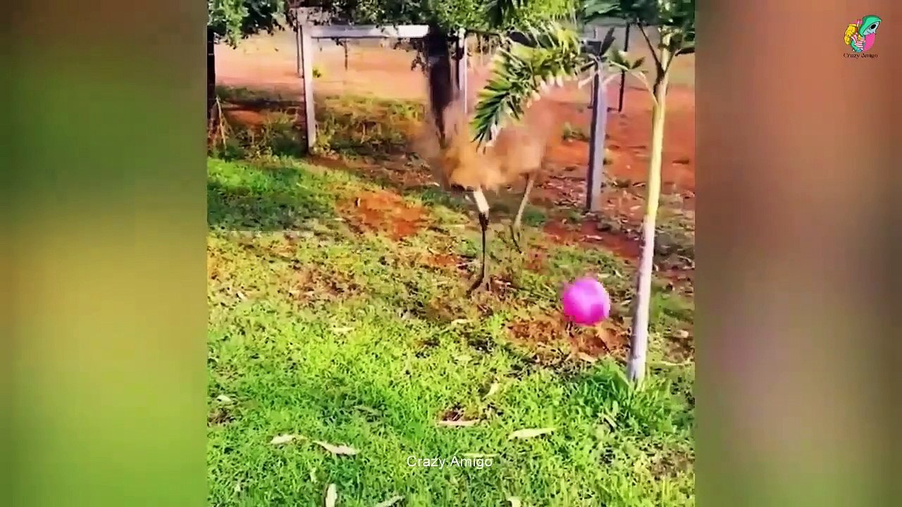 Just for fun
