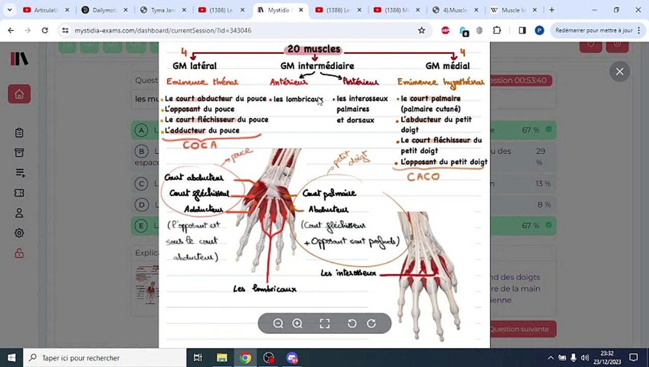 QCM MUSCLES MAINS